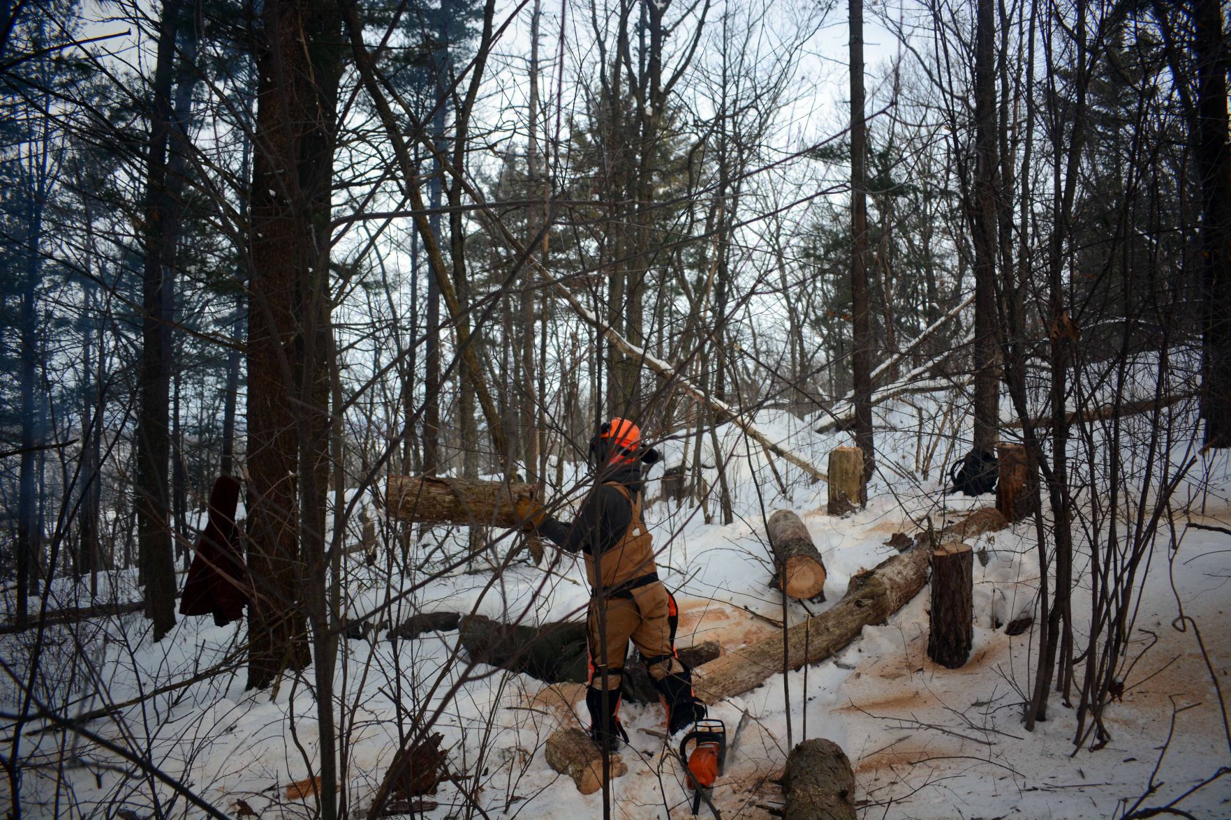 Devil's Lake east bluff stewardship work
